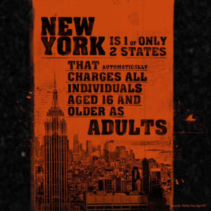 ny-adult-charges-infographic